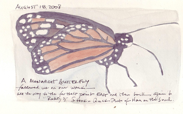 Butterfly.jpg