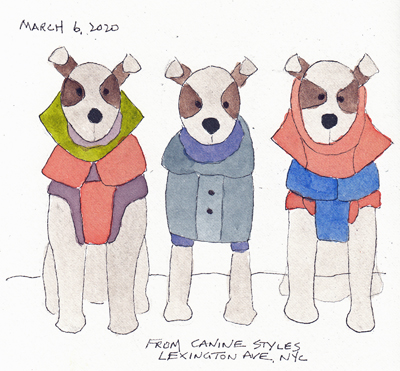 Canine%20Designs1SIZE.jpg