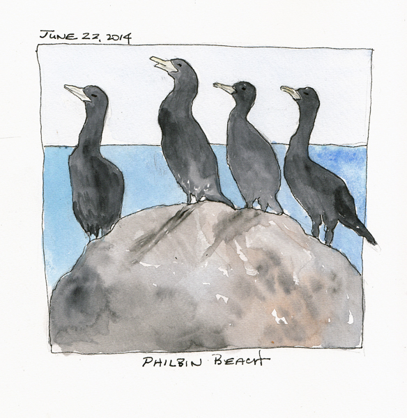 Cormorants.MV.size.jpg