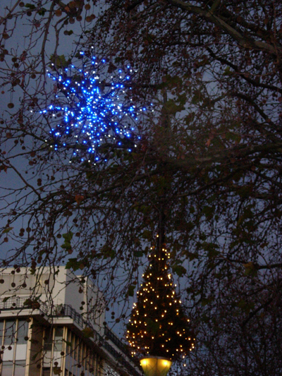 DSCN9509.size.jpg