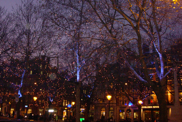 DSCN9542.size.jpg