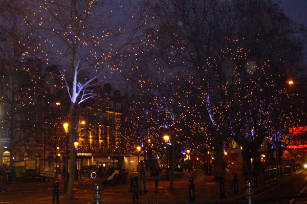 DSCN9545.size.jpg