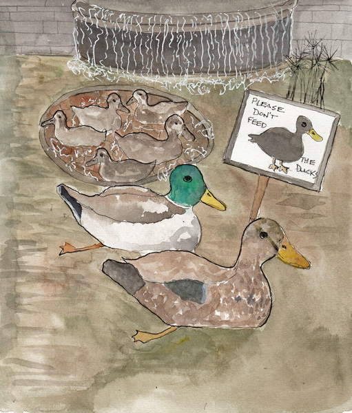 DucksDrawingSIZE.jpg