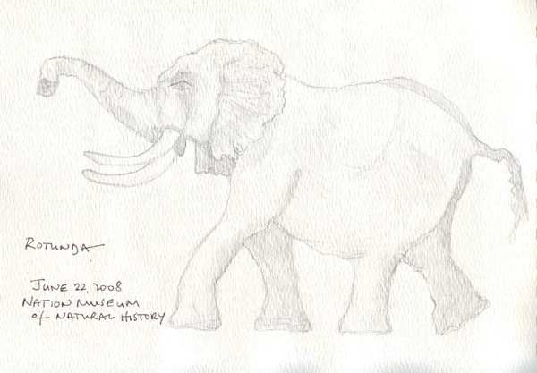 Elephant.RotundaSize.jpg