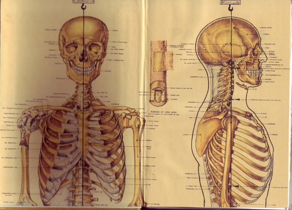 EndPaper1.jpg