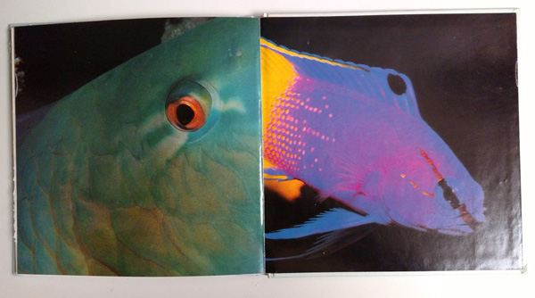 EndPaperBack.size.jpg