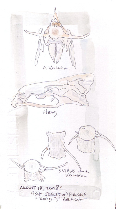 Fish%20Body%20Parts.jpg