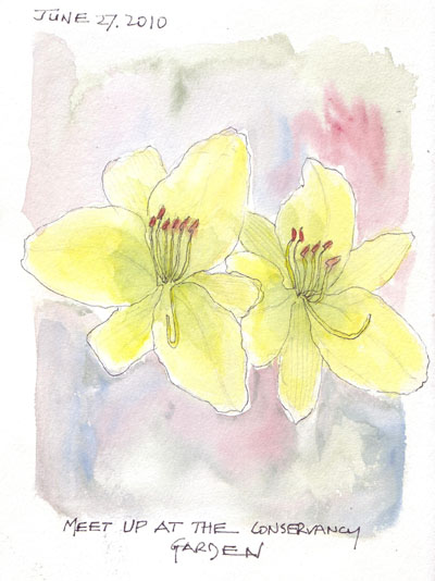 FlowerA.27Jun.jpg