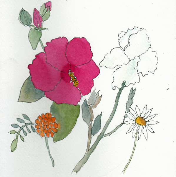 Flowers9.23.17SIZE.jpg
