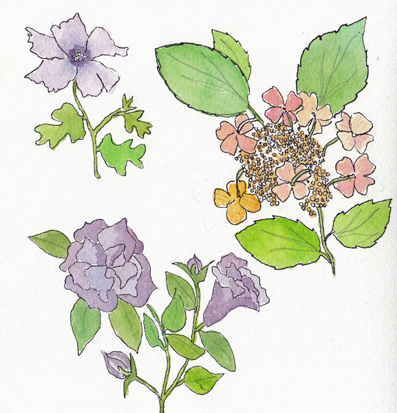 FlowersAug29SIZE.jpg