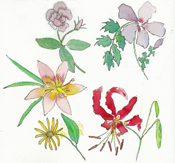 FlowersJuly19SIZE.jpg
