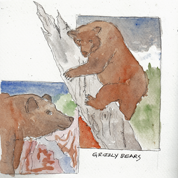 GrizzlyBearsSIZE.jpg