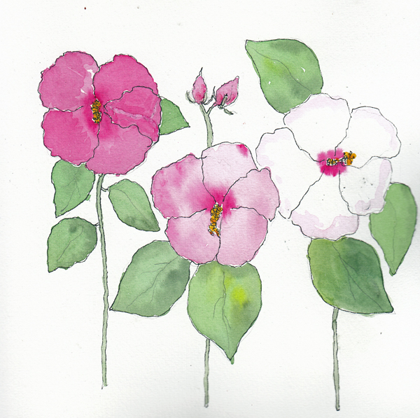 Hibiscus2SIZE.jpg