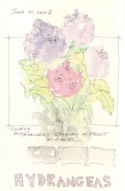 Hydrangeas.jpg