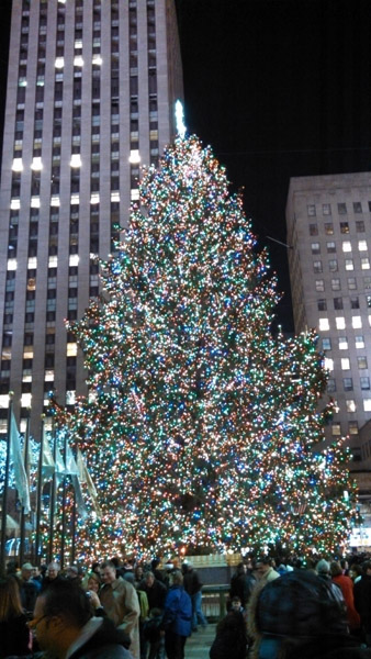 IMG_20121213_205210_300.size.jpg