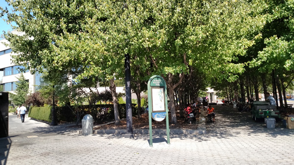 IMG_20150826_121112798SIZE.jpg