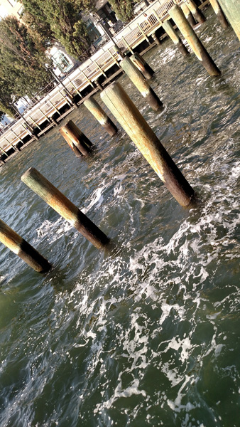 IMG_20151021_161329909SIZE.jpg