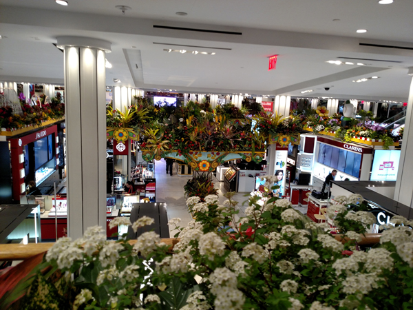 IMG_20170328_101525342SIZE.jpg