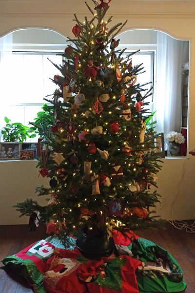 IMG_20181221_114102949CropSIZE.jpg