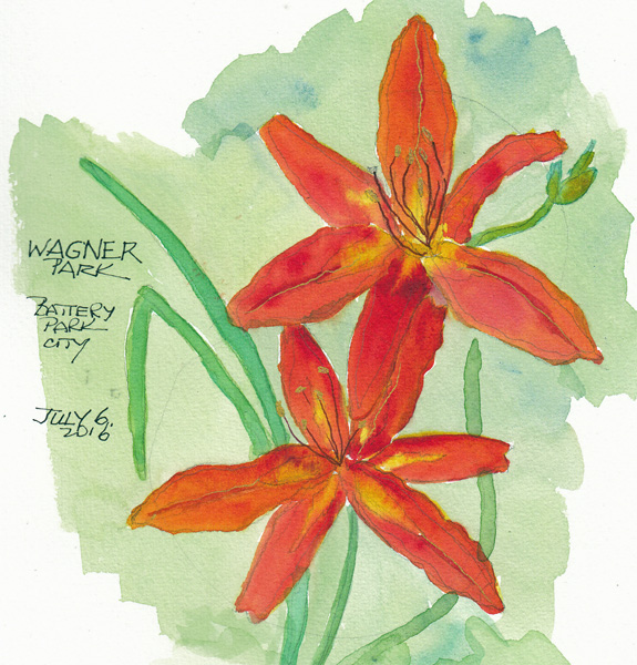 LiliesWagnerParkSIZE.jpg