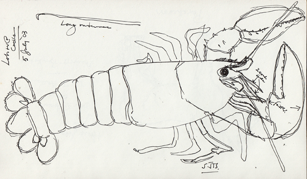 LobsterOne2003SIZE.jpg
