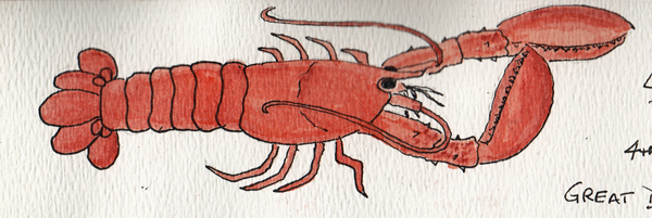 LobsterTwo2003SIZE.jpg