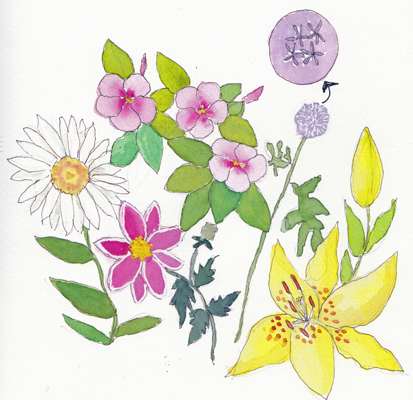 ManyFlowersSIZE.jpg
