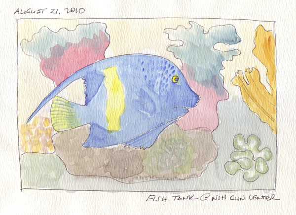NIH%20Fish.jpg