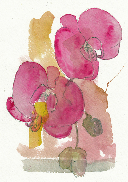 OrchidsSIZE.jpg