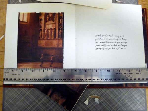 P1170811.size.jpg