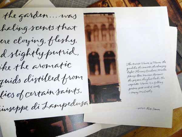 P1170815.size.jpg