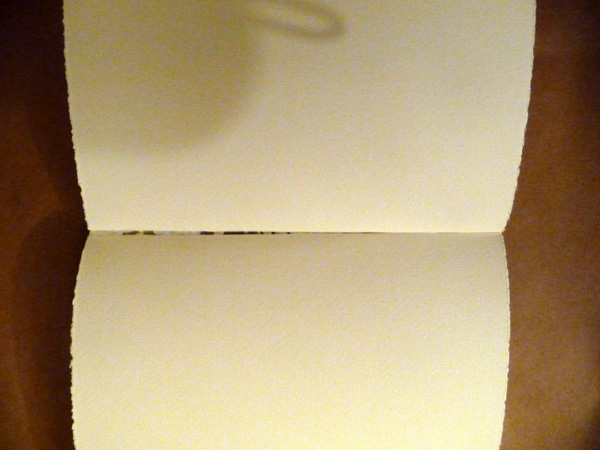 P1170931.size.jpg