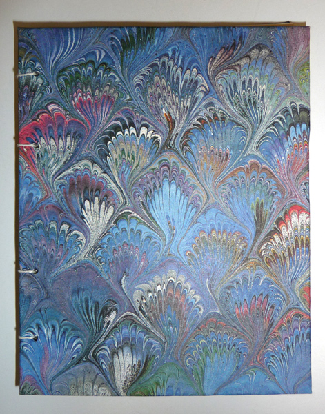 P1230232.size.jpg