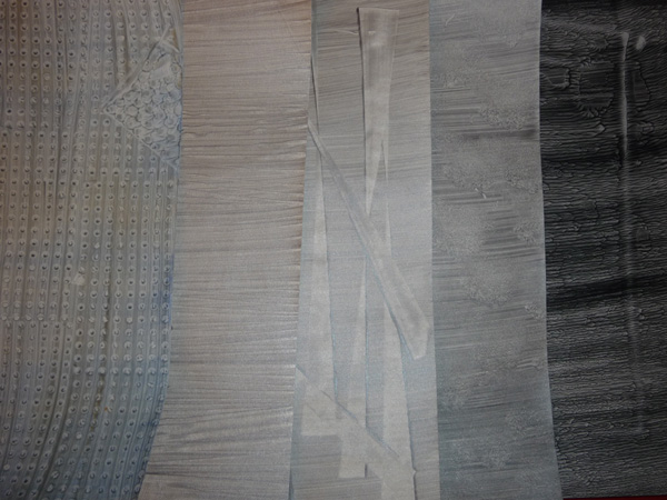 P1230327.size.jpg