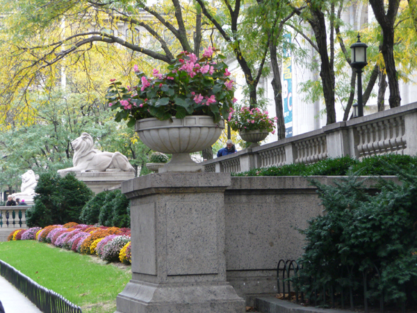 P1250530.size.jpg