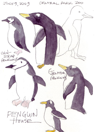 Penguins.7-9.jpg