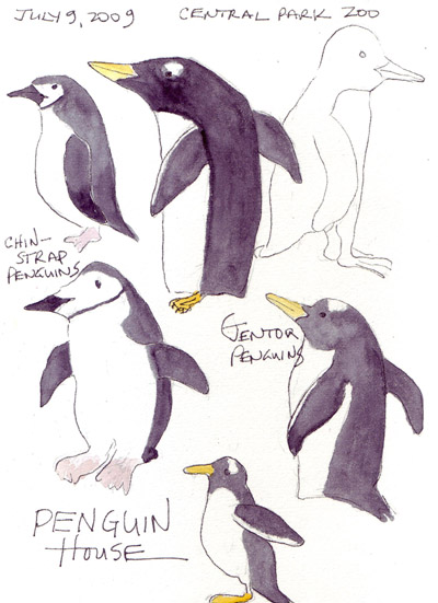 penguins sketch