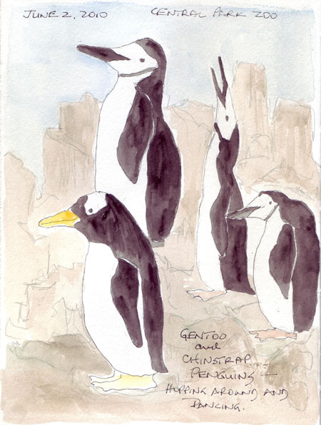 Penguins.ZooJune2.jpg