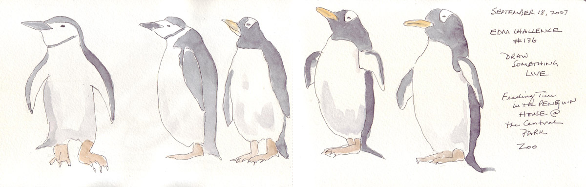 Penguin in human disguise — My friendo gave me this idea to draw Dr. Livesey