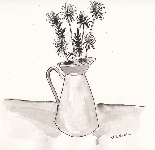Pitcher.Daisies.size.jpg