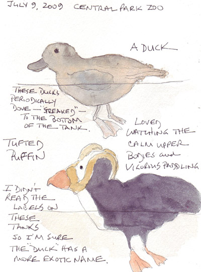 Puffin.jpg