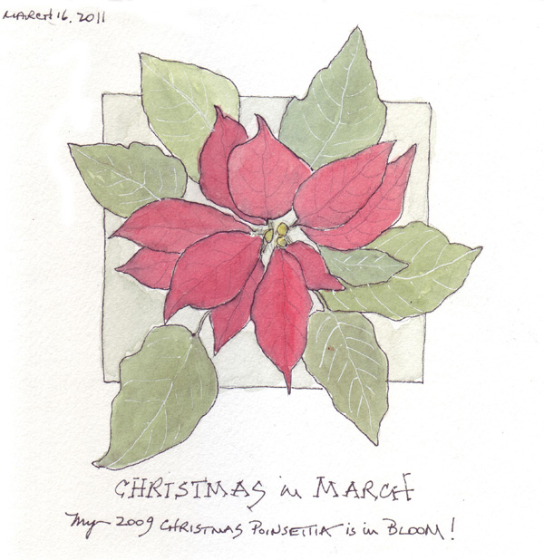 Scan10793.size.jpg