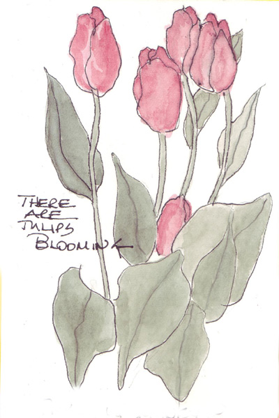 Scan10820.postcard.size.jpg