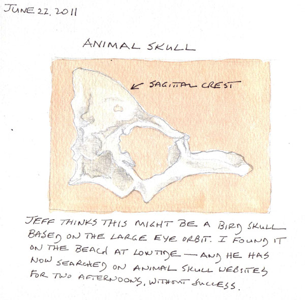 Scan10941.size.jpg