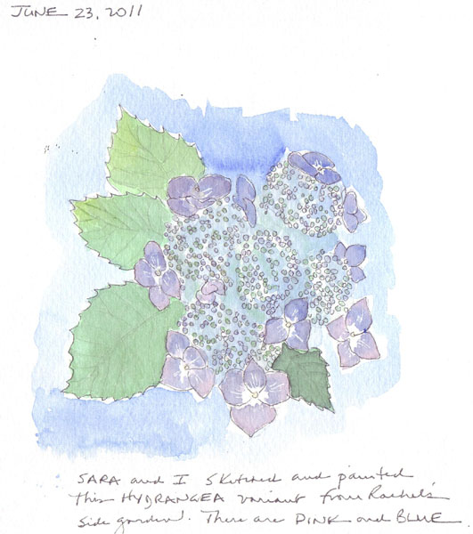 Scan10943.size.jpg