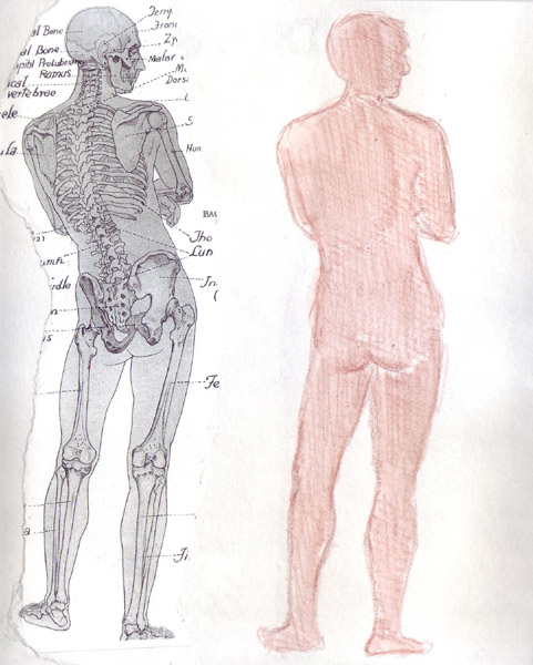 Scan11215.size.jpg