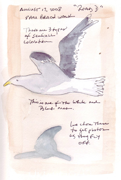 SeaGull.jpg