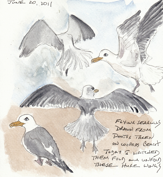 SeaGulls2011SIZE.jpg
