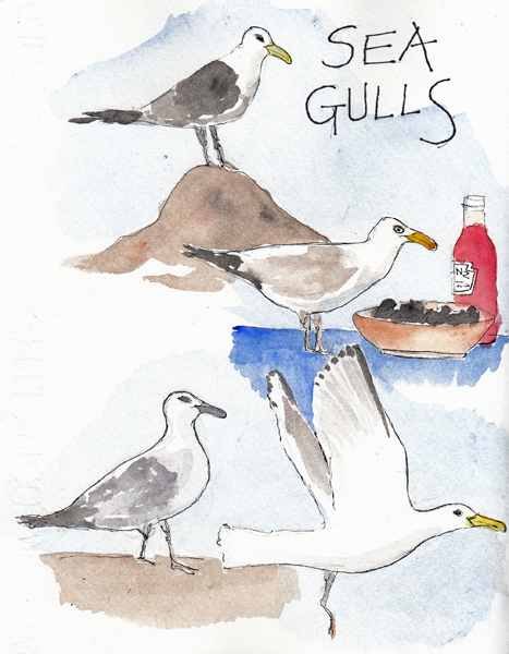Seagulls1SIZE.jpg