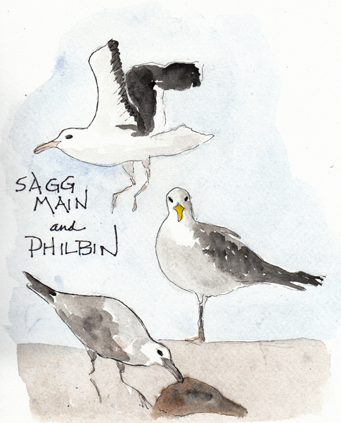 Seagulls2SIZE.jpg